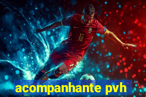 acompanhante pvh